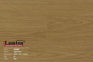 Sàn gỗ công nghiệp cao cấp 12ly Lamton AG1205