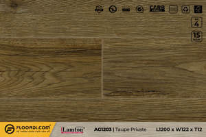 Sàn gỗ công nghiệp cao cấp 12ly Lamton AG1203