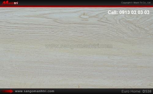 Sàn gỗ công nghiệp EuroHome D538
