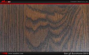 Sàn gỗ công nghiệp EuroHome D618
