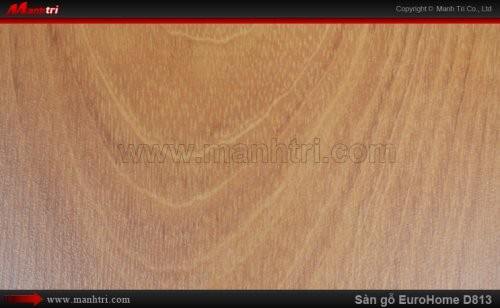 Sàn gỗ công nghiệp EuroHome D813