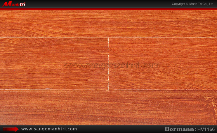 Sàn gỗ công nghiệp Hormann HV1166