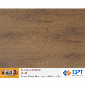 Sàn gỗ công nghiệp Timb 1109 12mm