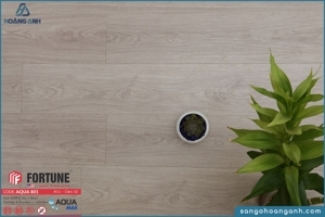 Sàn gỗ Fortune Aqua 801