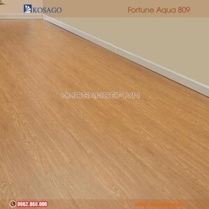 Sàn gỗ Fortune Aqua 809