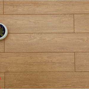 Sàn gỗ Fortune Aqua 909