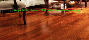 Sàn gỗ Gõ Đỏ Nam Phi 18x120x600mm