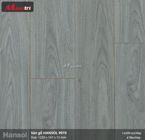 Sàn gỗ Hansol 9919