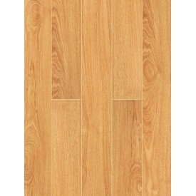 Sàn gỗ Hansol 9919