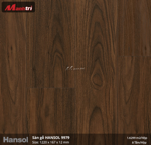 Sàn gỗ Hansol 9979
