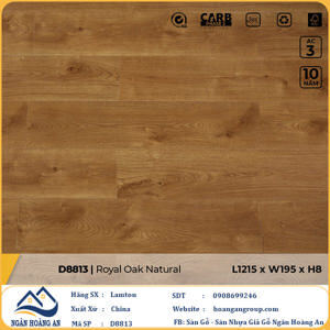 Sàn gỗ Lamton D8813