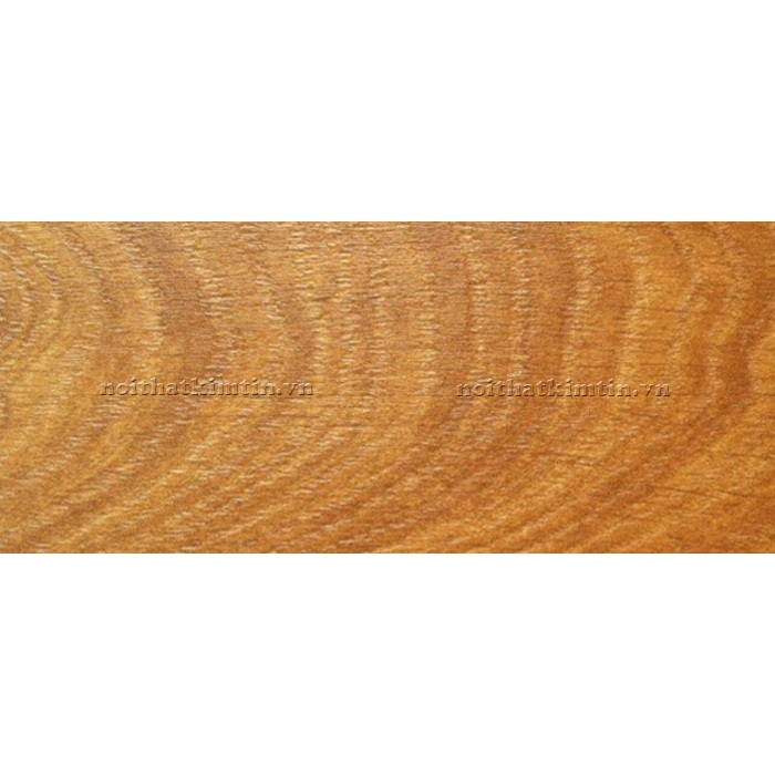 Sàn gỗ Morser Amazon AM965