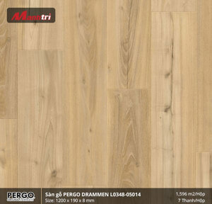 Sàn gỗ Pergo Drammen 05014