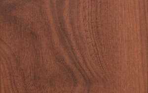 Sàn gỗ Rainforest IRAS 510