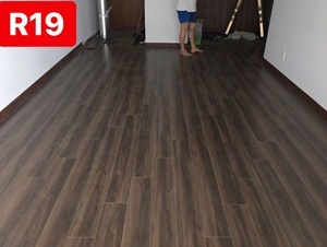 Sàn gỗ Raptor R19