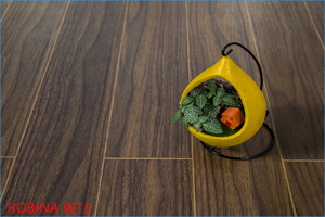 Sàn gỗ Robina W15