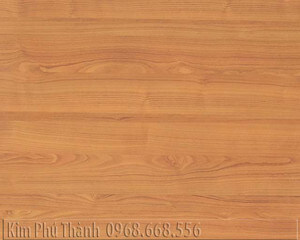 Sàn gỗ Thaixin 1048-12