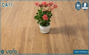 Sàn gỗ Vario CA11