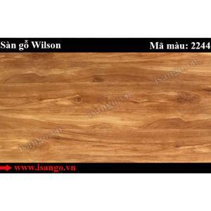 Sàn gỗ Wilson 2244