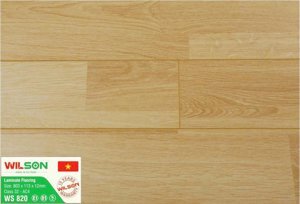 Sàn gỗ Wilson WS820