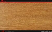 Sàn gỗ Wittex T2250