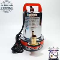 Sẵn hàng-Gía gốc] Máy bơm chìm 12v 180W Inox