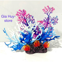 San Hô trang trí bể cá cảnh đẹp mắt ( 22 x20cm)