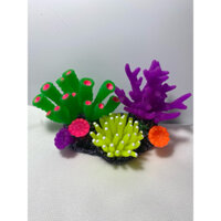 San Hô Trang Trí Bể Cá Cảnh