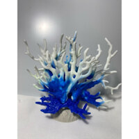 San Hô Trang Trí Bể Cá Cảnh