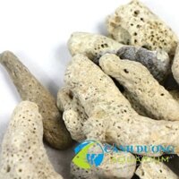 San hô vụn bán sỉ và lẻ