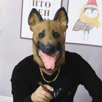 (Sẵn) Mặt nạ Chó Becgie bằng cao su thiên nhiên cực kỳ dễ thương phù hợp hóa trang Halloween tiệc tùng quay Clip hài