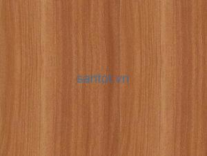 Sàn nhựa hèm khóa Ecost EC404