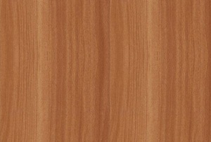 Sàn nhựa hèm khóa Ecost EC404