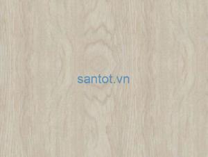 Sàn nhựa hèm khóa Ecost EC407