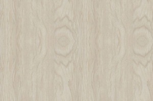 Sàn nhựa hèm khóa Ecost EC407