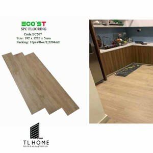Sàn nhựa hèm khóa Ecost EC407