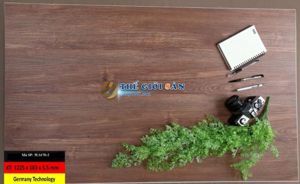 Sàn nhựa hèm khóa MaxFloor 5LS170-2