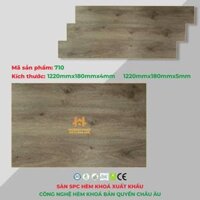Sàn Nhựa Hoàng Phát Đế Cao Su HP-710