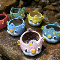 Sản phẩm còn hàng chậu đất nung chậu sứ trồng cây chậu hoa để bàn chậu gốmChậu hoa mọng nước dễ thương hình động vật nhỏ cá bông PP Lithops mông dày gốm treo trên bàn