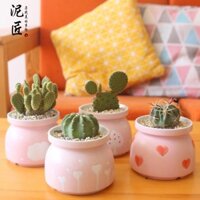 Sản phẩm còn hàng chậu đất nung chậu sứ trồng cây chậu hoa để bàn chậu gốmChậu cây mọng nước màu hồng, dễ thương, sáng tạo, chậu hoa gốm hình trái tim đơn giản