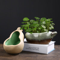 Sản phẩm còn hàng chậu đất nung chậu sứ trồng cây chậu hoa để bàn chậu gốmChậu hoa Pennywort thủy canh, chậu thủy tinh Narcissus, chậu hoa sen không xốp, chậu bầu gia đình, gốm sứ đặc biệt giảm giá