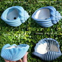Sản phẩm còn hàng chậu đất nung chậu sứ trồng cây chậu hoa để bàn chậu gốm[99% Đánh giá Tích cực] Chậu hoa mọng nước sáng tạo cá tính gốm dễ thương vỏ sao biển cá voi cá vàng nhỏ đơn giản giảm giá động vật