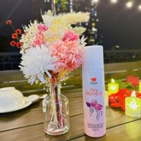 Sản phẩm dầu gội đầu khô tóc bết