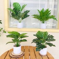 Sản phẩm mới [ 17k đánh giá tích cực ] Bonsai nhân tạo, hoa giả Bắc Âu, cây cảnh nhỏ trong chậu, cây Monstera, trang trí phòng khách, cây xanh nhân tạo, trang trí nhà