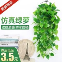Sản phẩm mới [3465 đánh giá tích cực] Trang trí treo tường cây nhân tạo, hoa dây leo, hoa giả treo tường phòng khách, cây củ cải xanh, giỏ treo hoa giả Chlorophytum