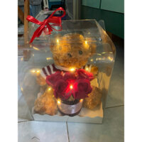 sản phẩm quà tặng đáng yêu hộp gấu teddy ôm hoa
