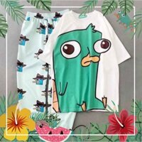 [Sản phẩm sẵn] ÁO PERRY THÚ MỎ VỊT DÁNG RỘNG - ÁO THUN TAY LỠ UNISEX TRẮNG XANH - Hot 2020