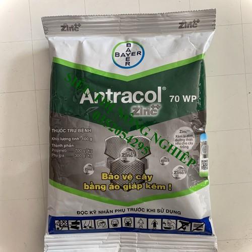 Sản phẩm trừ nấm bệnh - Antracol 70Wp 100G