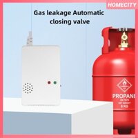 [Sẵn sàng] Máy dò rò rỉ khí gas 85db Co Báo động cảnh báo rò rỉ khí gas tự nhiên Công cụ phát hiện cảm biến an ninh gia đình có đèn báo