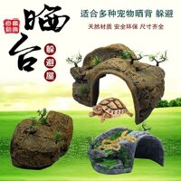Sân thượng cho rùa, hộp bò sát, bệ leo núi lớn nhỏ, nhà ẩn náu của tắc kè, tổ rắn, hang ẩn náu của